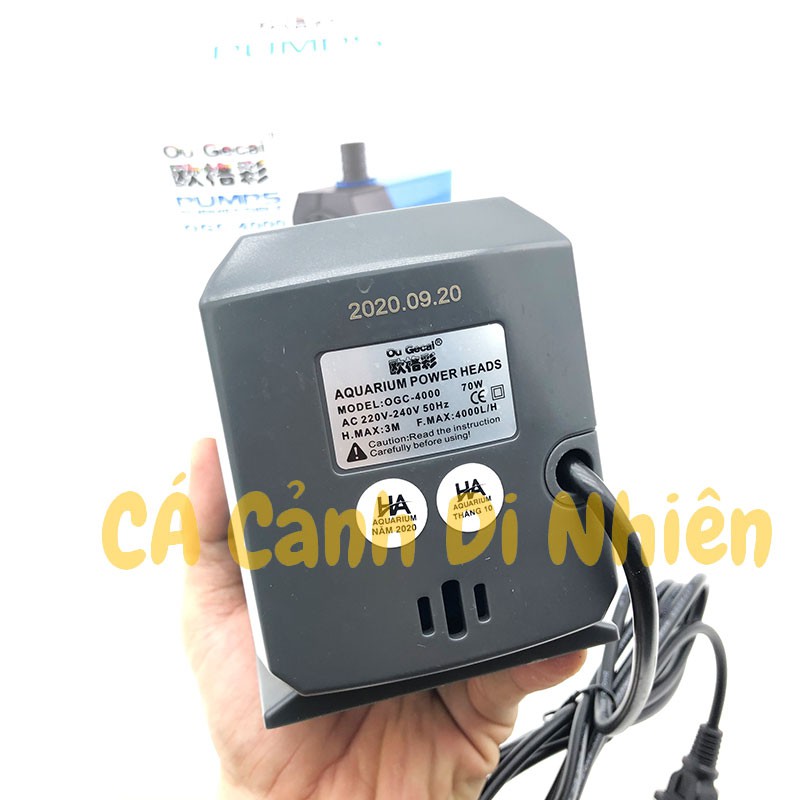 Máy bơm nước 70W OGC-4000 lọc nước cho hồ cá cảnh