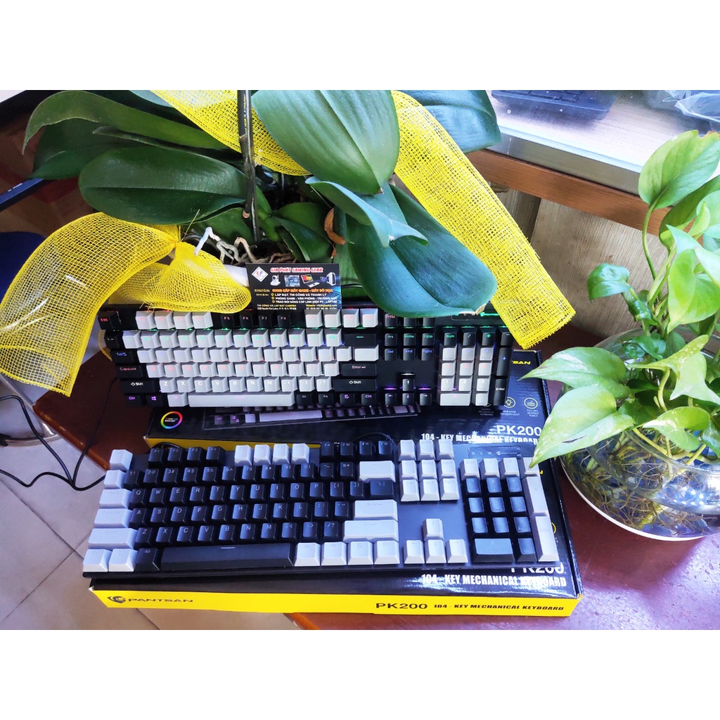 Bàn Phím Cơ Gaming Led Cao Cấp PANTSAN PK200