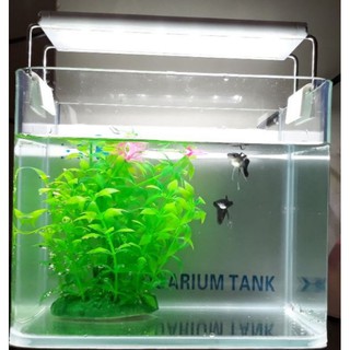 Đèn Led cho hồ cá