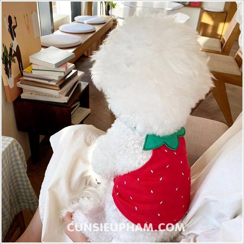 Áo thun dâu tây / quả dứa đáng yêu cho chó mèo