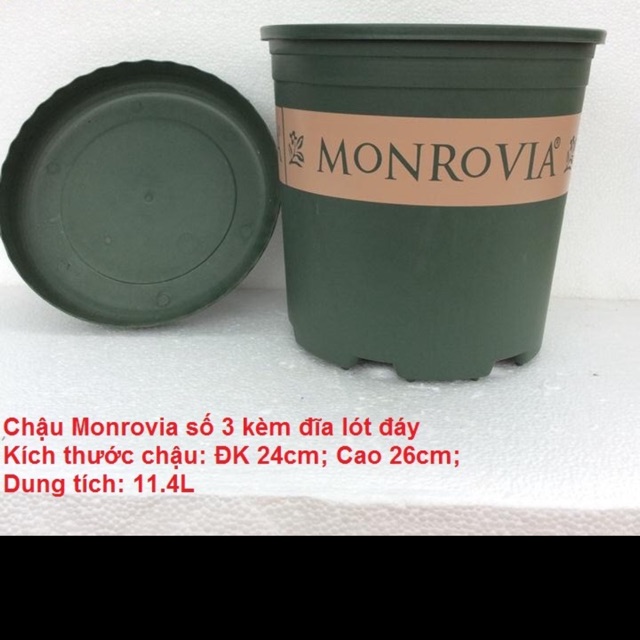 Chậu nhựa trồng cây cao cấp MONROVIA số 3 kèm đĩa lót chậu