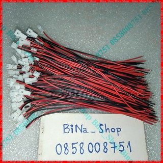 Cáp JST 2pin 100mm đực cái