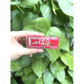 KitKat Socola Nestle 17g