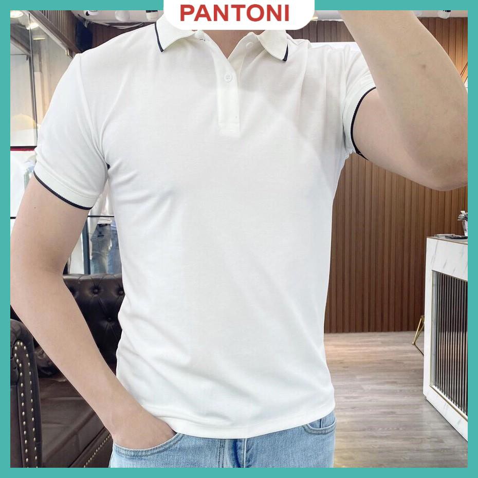 Áo phông nam ngắn tay cổ bẻ phối viền cao cấp : Kiểu dáng Hàn Quốc chất liệu cotton , co giãn 4 chiều(ACBPV)