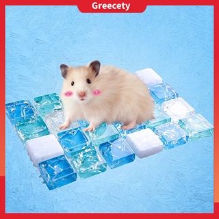 Thảm lót làm mát kích thước nhỏ dành cho sóc/chuột hamster dùng trong mùa hè
