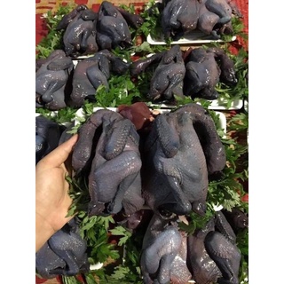 GÀ ÁC NGUYÊN CON (con tầm 6- 800gr)