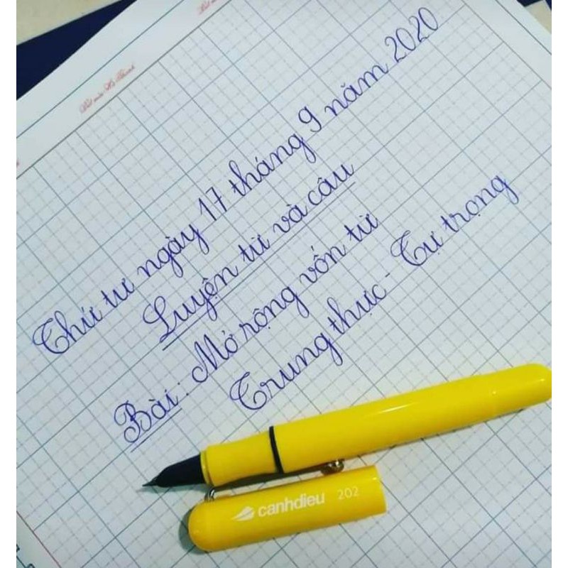 Bút máy Cánh Diều 202 ⚡ CAO CẤP ⚡ bút mực cho bé lớp 1 trở lên, thân bút bằng nhựa dẻo siêu bền