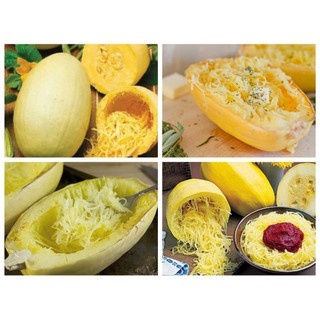 Gói 5 Hạt Giống bí mì sợi Vàng