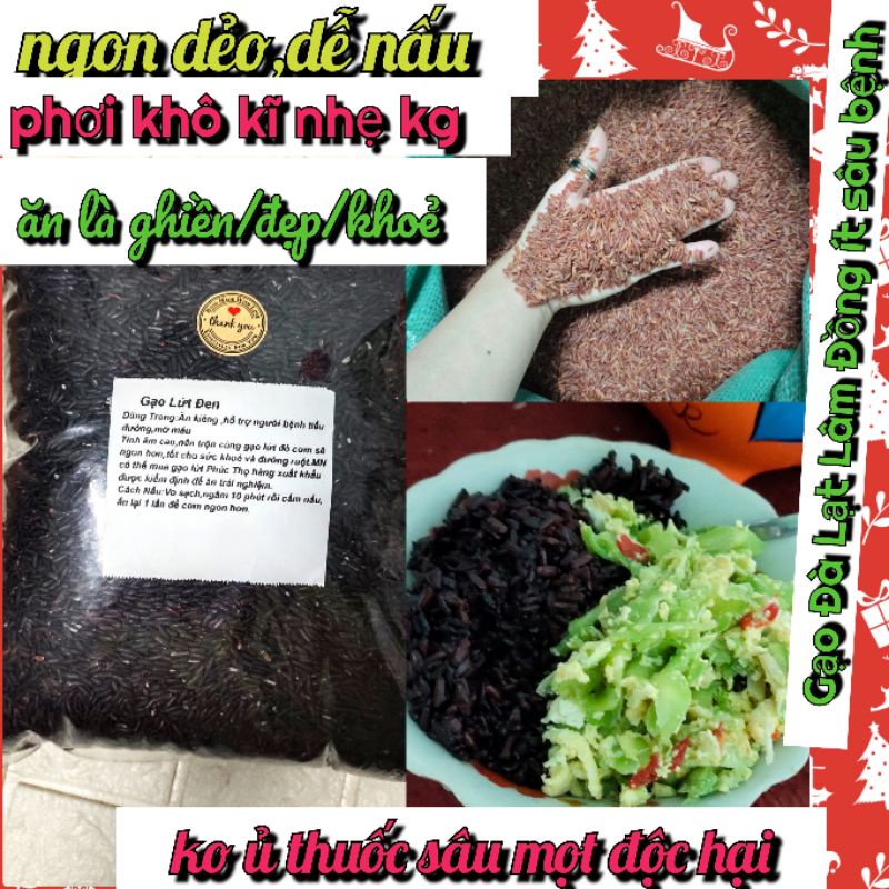 GẠO LỨT TRUNG TÍNH NGON TỐT TỐI ƯU