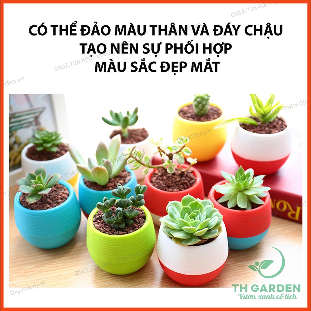 Châu trồng cây nhựa để bàn mini
