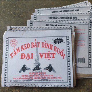COMBO 2 KEO BẪY DÍNH RUỒI ĐẠI VIỆT