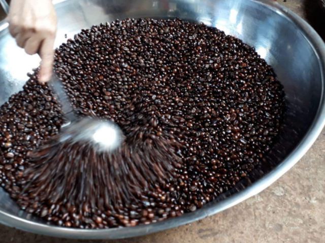 Cà phê hạt Robusta