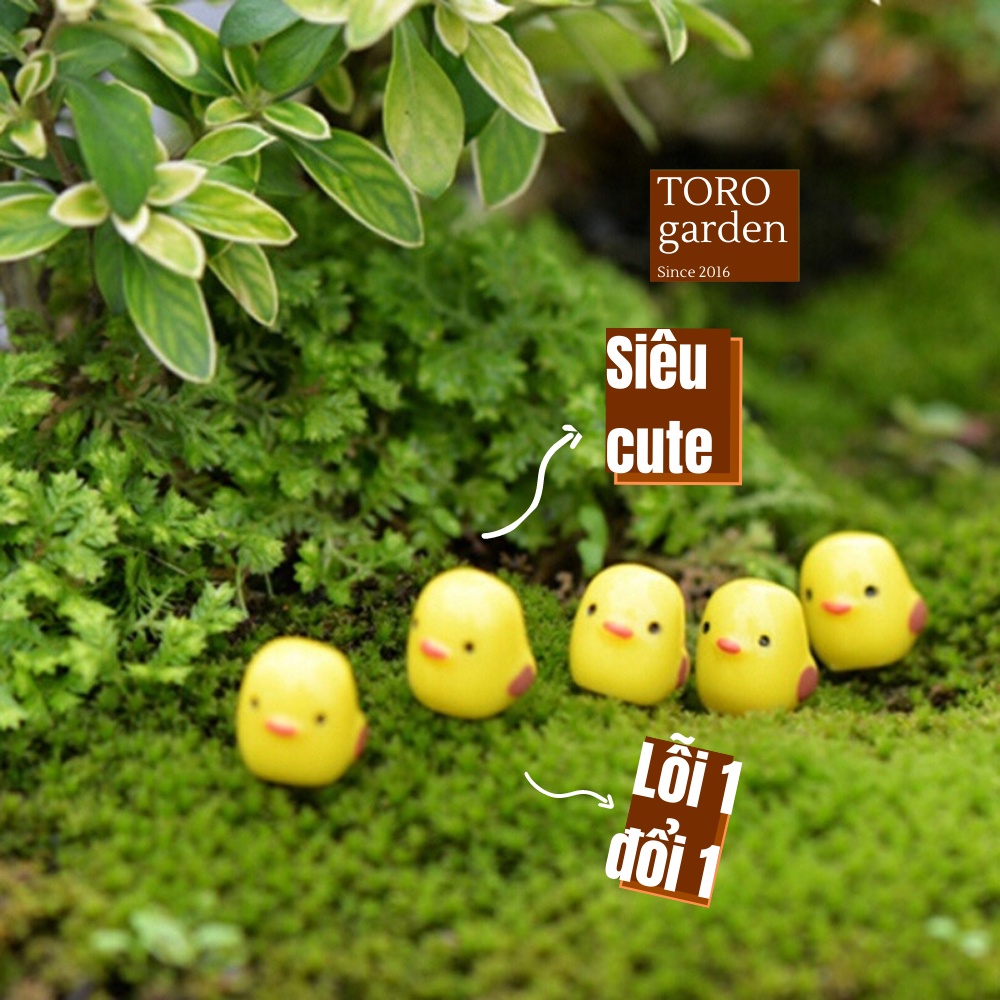 Phụ kiện 5 chú gà con Toro garden siêu cute