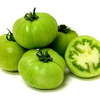 Hạt giống Cà chua xanh tặng kèm kích mầm