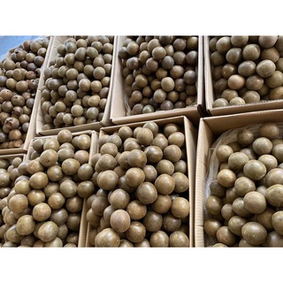 Quả la hán ( 10 trái nhỏ )