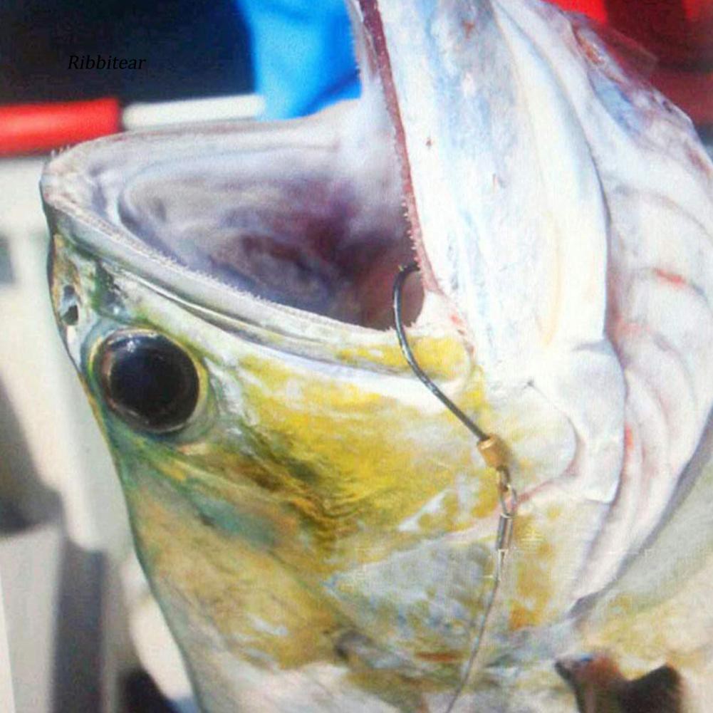 Bộ 5 Dây Móc Câu Cá Bằng Thép Không Gỉ Chất Lượng Cao