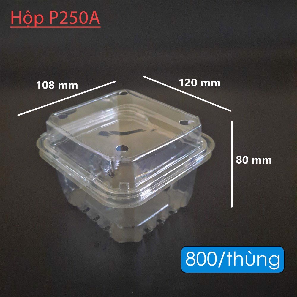 hộp đựng trái cây loại nửa kg và 1 kg (1 cái)