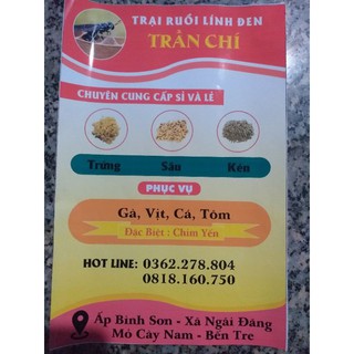 trứng ruồi lính đen100g