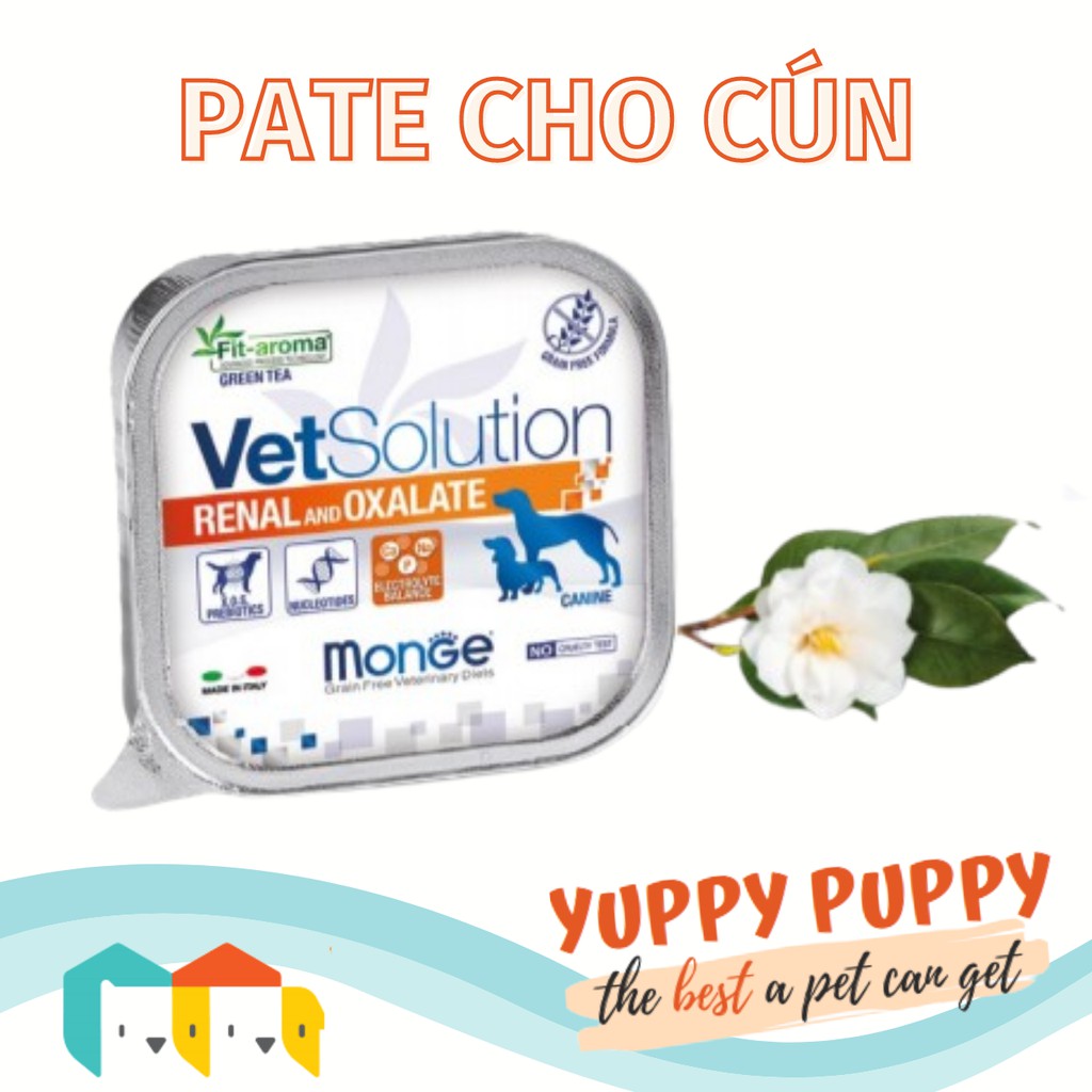 Monge Pate hỗ trợ chức năng thận trong điều trị suy thận, ngừa  sỏi thận Oxalate cho chó 150gr