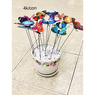 Bướm trang trí tiểu cảnh 1 con