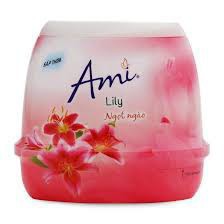 Sáp thơm khử mùi để trong phòng Ami lyly 002 11 11