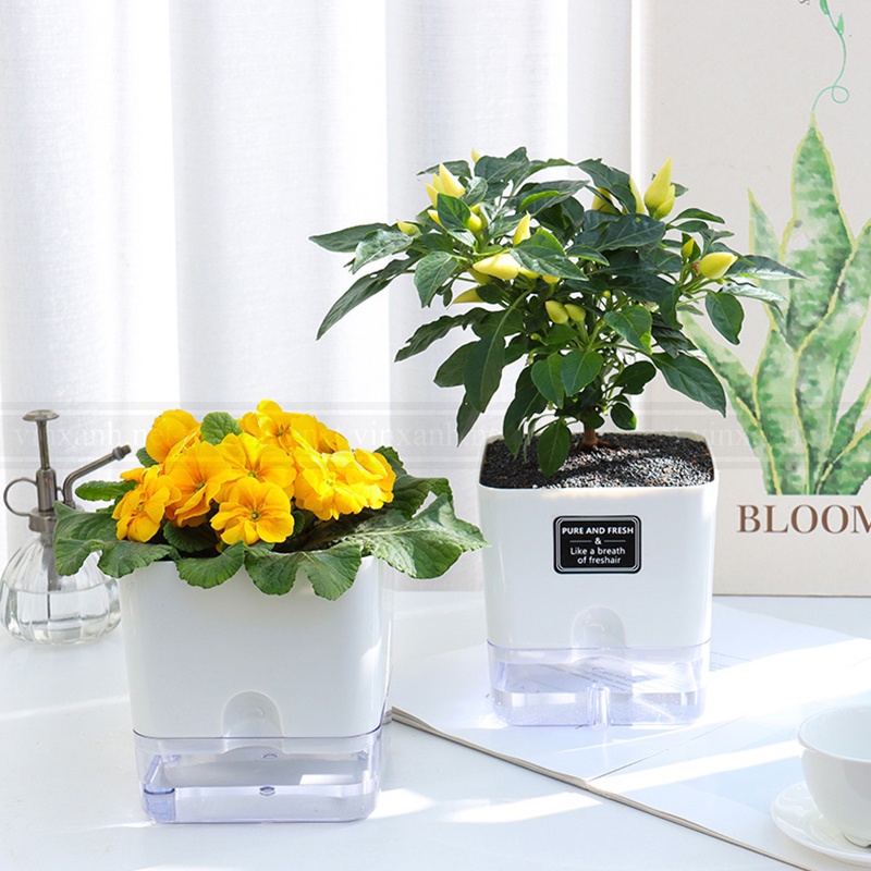 Chậu trồng cây thông minh để bàn 2 lớp nhựa cao cấp/ chậu tự tưới/ tự dưỡng không cần tưới nước 11-23cm