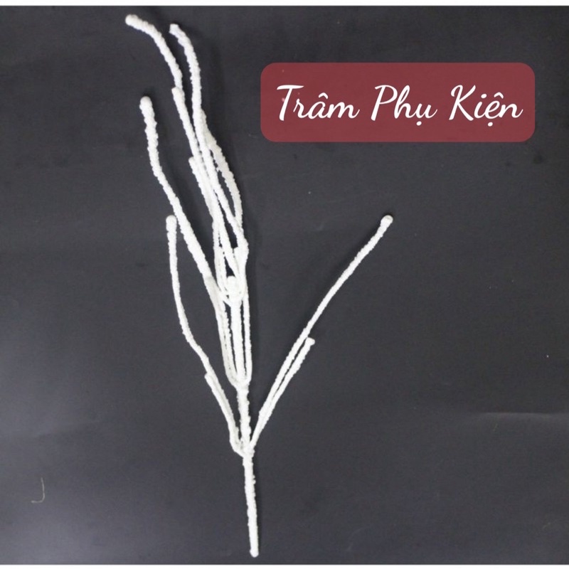 10 cành tuyết trắng, Hoa Hồng Môn trang trí lẵng hoa bó hoa