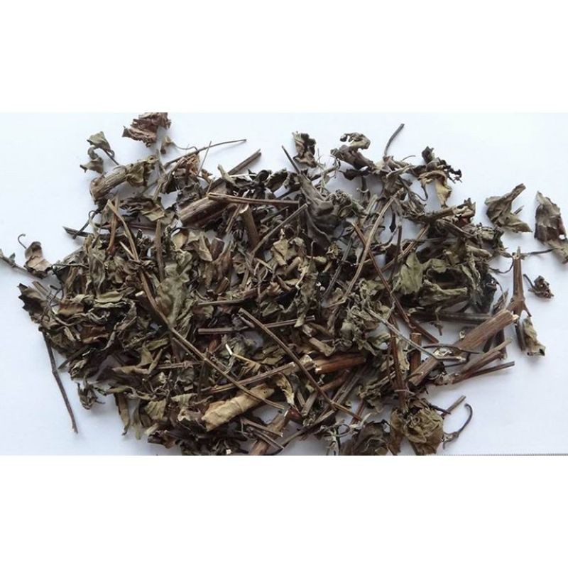 cây râu mèo phơi khô