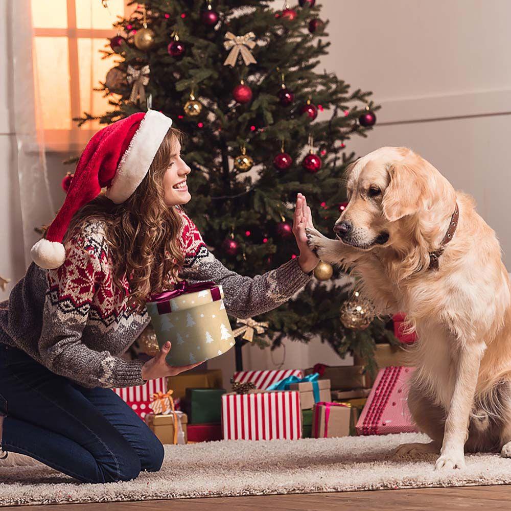 Giấy Gói Quà Một Mặt 44x100cm Họa Tiết Bông Tuyết Giáng Sinh Năm Mới