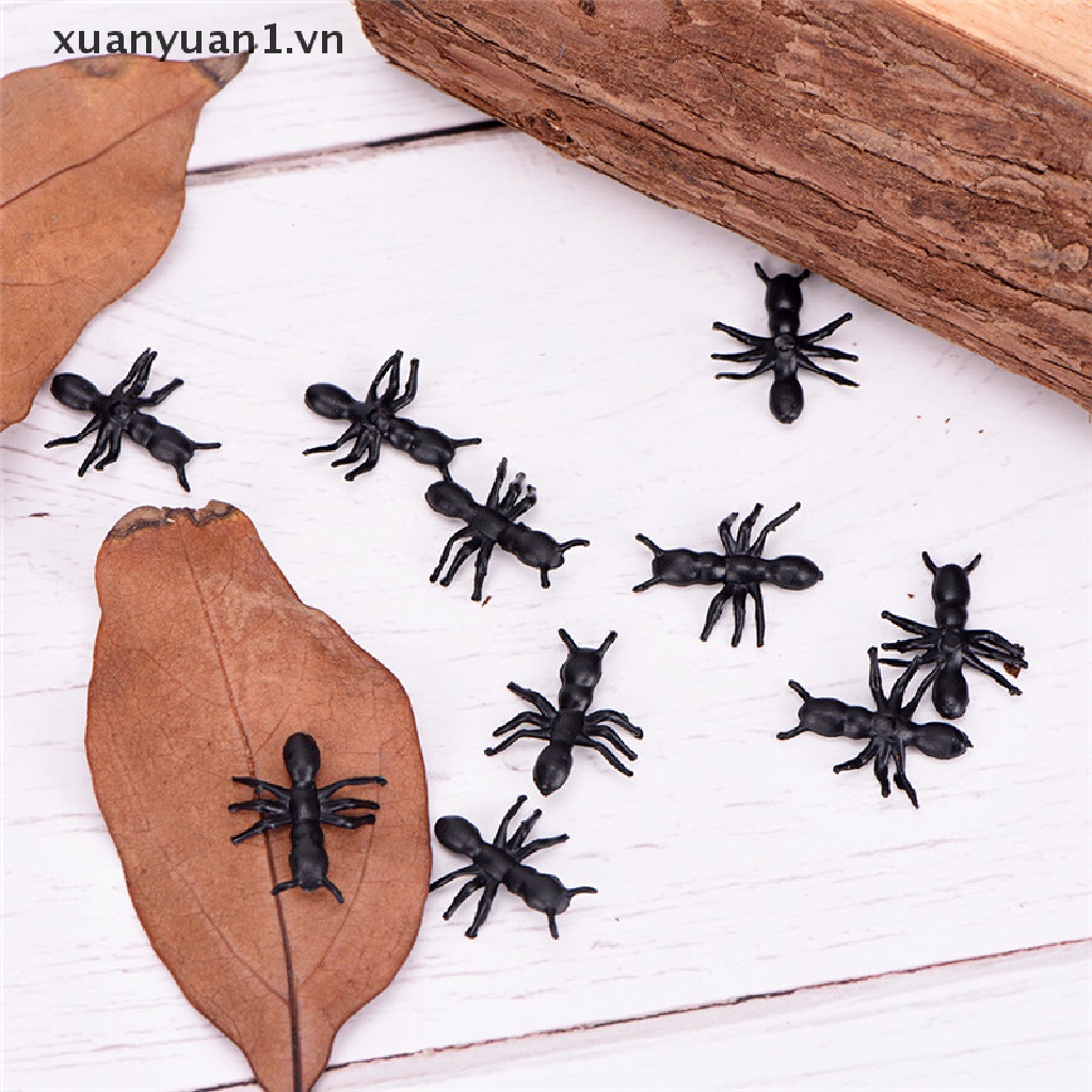 Set 50 Con Kiến Giả Màu Đen Dùng Để Trang Trí Lễ Halloween