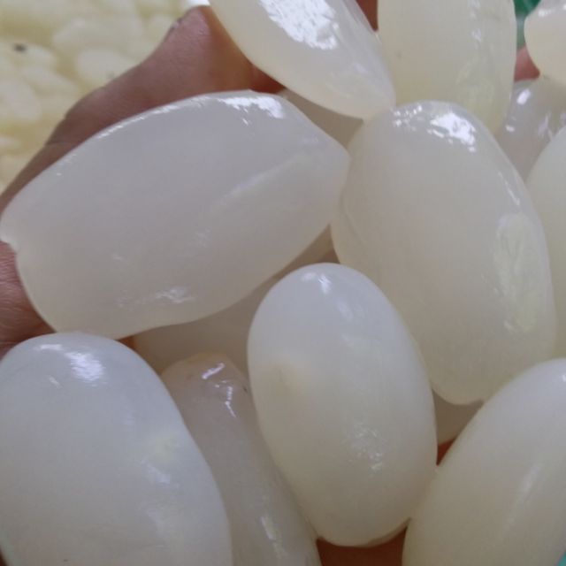 1kg hạt đác tươi size lớn70k | Thế Giới Skin Care