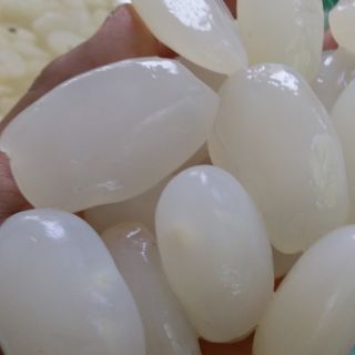 1kg hạt đác tươi size trung65k