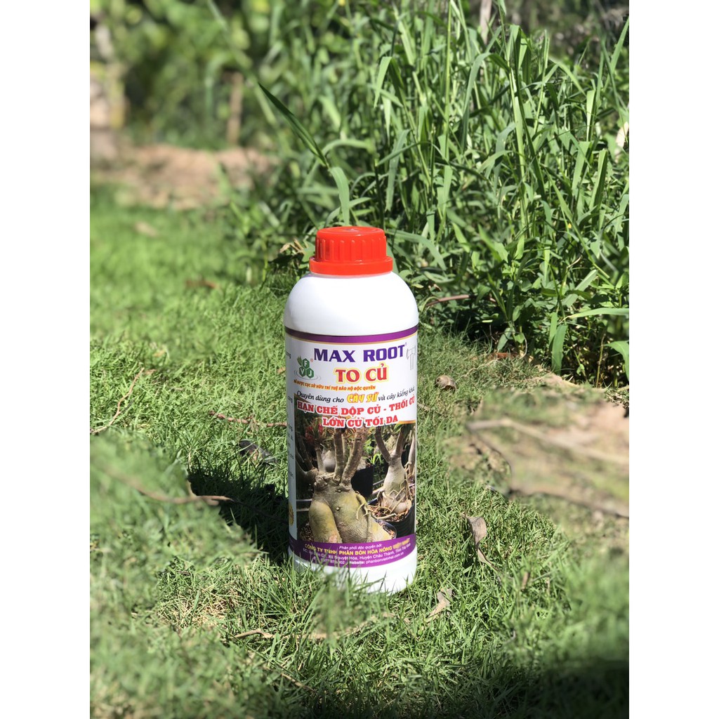 Phân Bón Cho Cây Kiểng To Củ Max Root Chai 1 Lít - Cứng Củ, Mập Củ, Chắc Củ, Hạn Chế Dộp Củ, Thối Củ