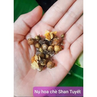 Trà nụ hoa san tuyết cổ thụ 80g