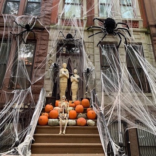 Mạng nhện kèm nhện trang trí halloween