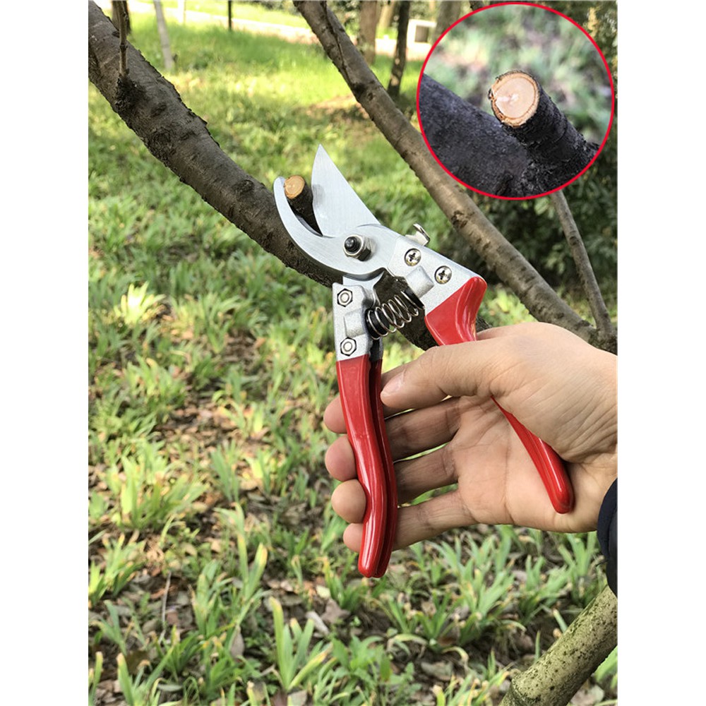 [FREESHIP] Como Kéo cắt tỉa cành cây thép Cao cấp + Kéo cắt tỉa cành cây, hoa quả thép tốt SK5