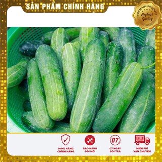 Bộ gói hạt giống Dưa chuột nếp ta