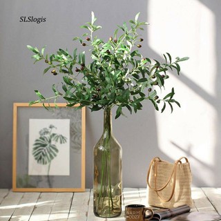 🌿cành oliu 10 nhánh 8 quả - hàng đẹp