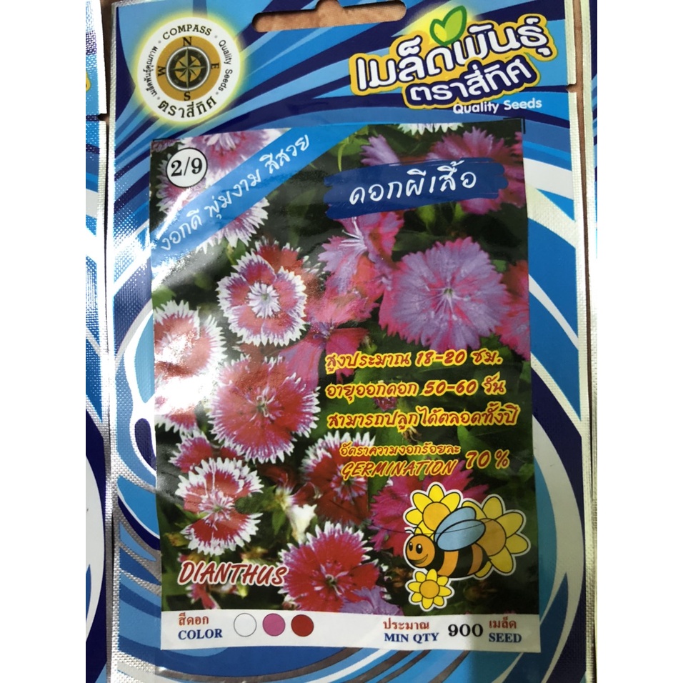 hạt giống hoa cẩm chướng đơn nhập khẩu thái lan nguyên bao bì