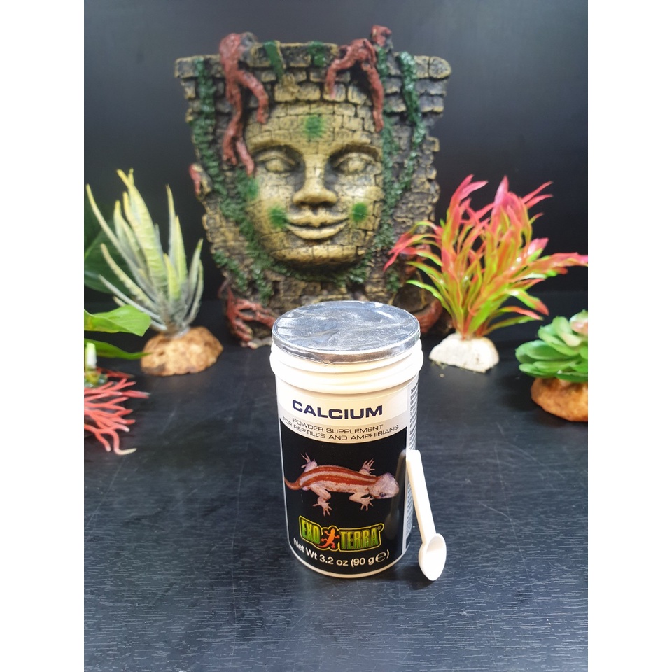 Canxi Calcium without D3 Exoterra dành cho bò sát cảnh