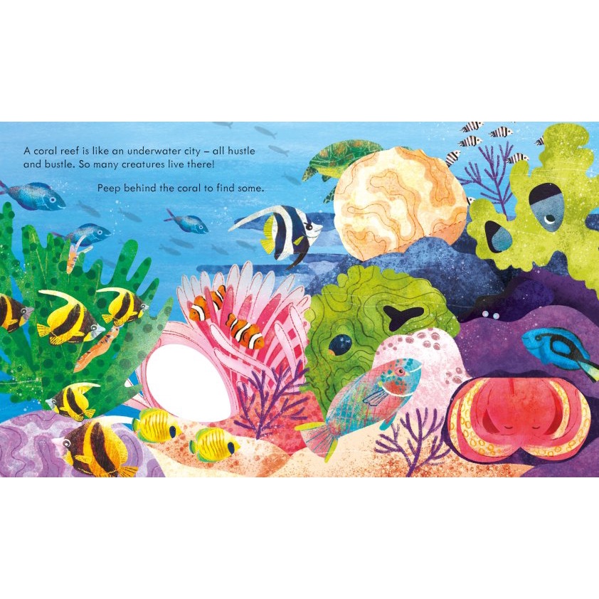 Sách - Anh : Peep inside a Coral Reef