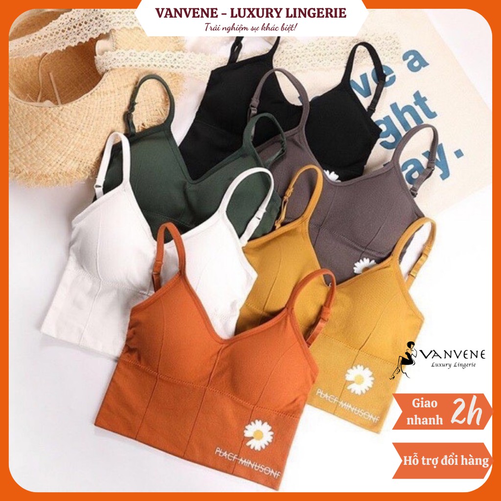 Áo Bra Croptop Cotton Hoa Cúc Hoạ Mi Daisy Tạo Eo Thon Hở Lưng - Khoét Lưng Free Size 40-55 Kg A917 (Video &amp; Ảnh Thật)