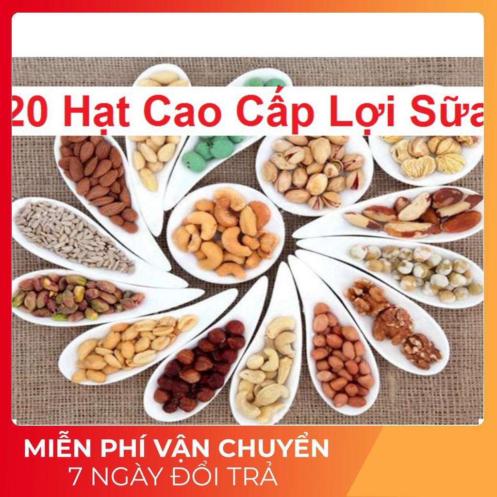 Bột Ngũ Cốc Dinh Dưỡng Lợi Sữa Phúc An 💝FREE SHIP💝 Ngu Coc Loi Sua Bà Bầu Mẹ Sau Sinh 20 Loại Hạt 500gr Không Tăng Cân