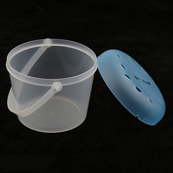 Hộp vận chuyển nhện bọ cạp rết côn trùng