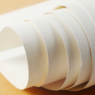 Giấy vẽ BAOHONG 300gsm vân Rough - Tờ lẻ size A3 lỡ