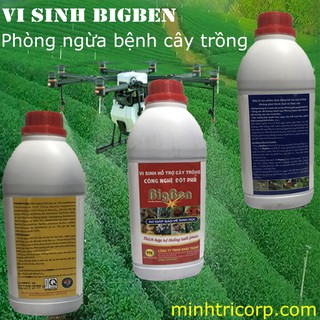 VI SINH PHÒNG BỆNH CHO CÂY TRỒNG BIGBEN 1 LIT