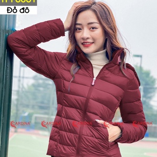 CARDINA - TỔNG KHO