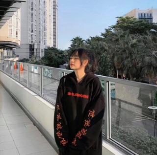 ☀️Áo Hoddie Nỉ Hades