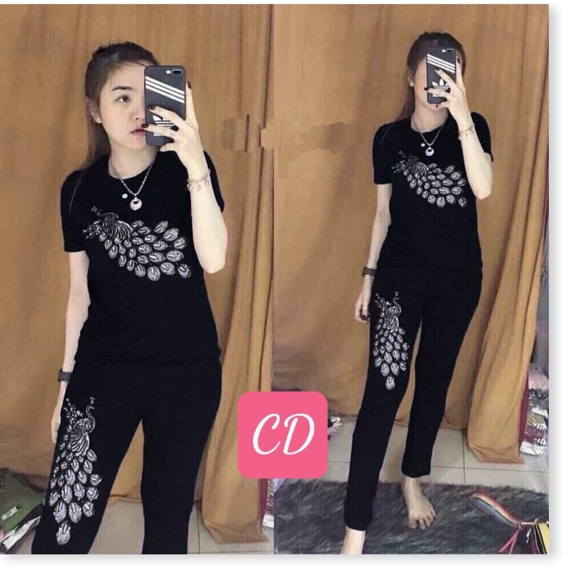 SET ĐỒ BỘ NỮ THUN,CHẤT LIỆU VÃI THOÁNG MÁT VÀ CO GIẢN 4C LANA FASHION