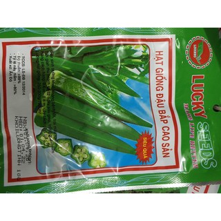 Hạt giống đậu bắp 10g
